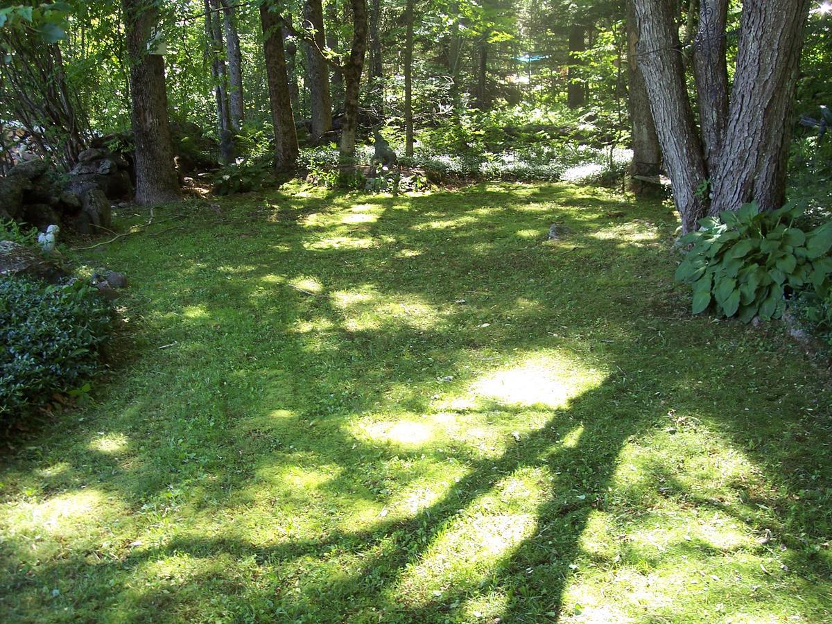 Hummingbird Hill Bed and Breakfast Stoddard Exterior foto